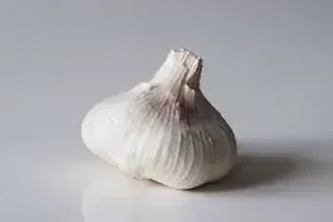 마늘
