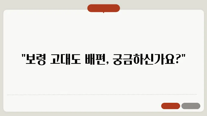 고대도 배편 운항 시간표