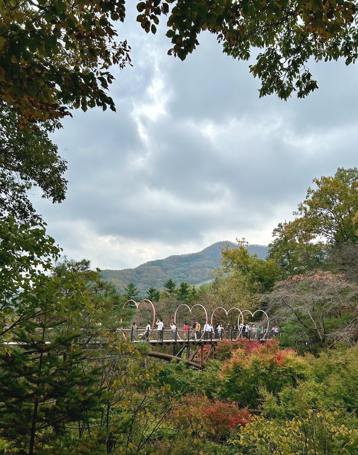 2024년 화담숲 10월 말 가을 단풍7