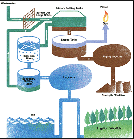 biological wastewater treatment Archives - CivilDigital