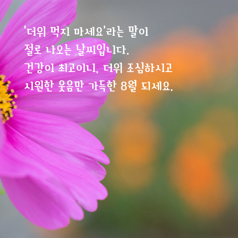 2025년 8월 인사말 문구 이미지 모음집