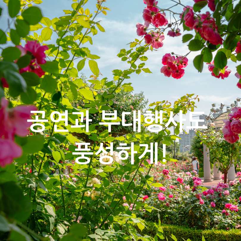 부천백만송이장미축제