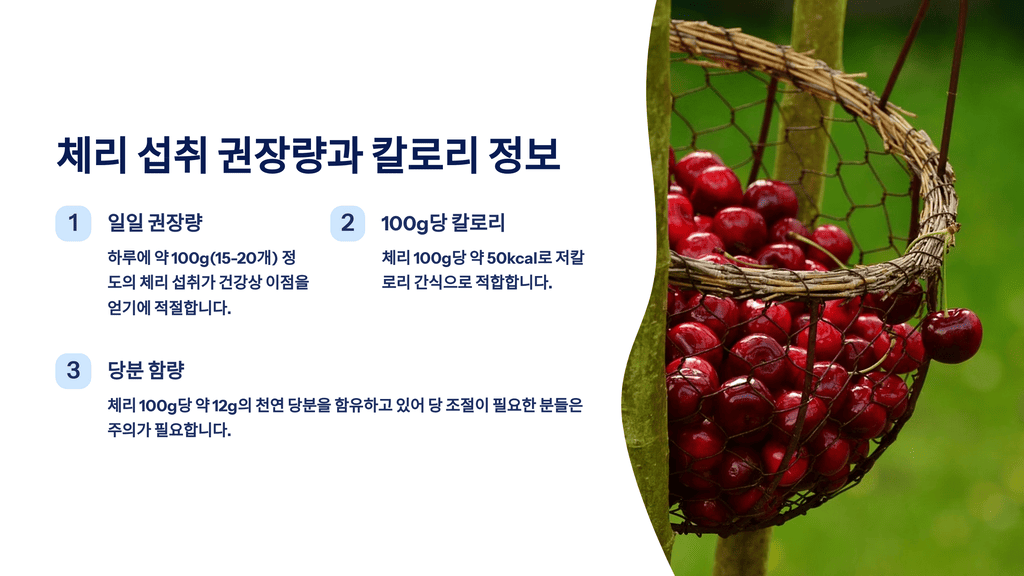 체리 섭취 권장량과 칼로리 정보