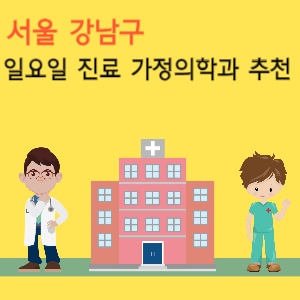 서울 강남구 일요일 진료 가정의학과 추천