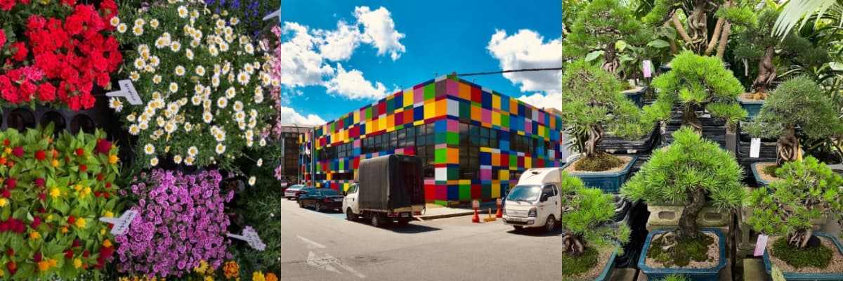 생생정보통 오늘방송(2월19일) 서울 양재 꽃시장,참사랑해,바지락손칼국수