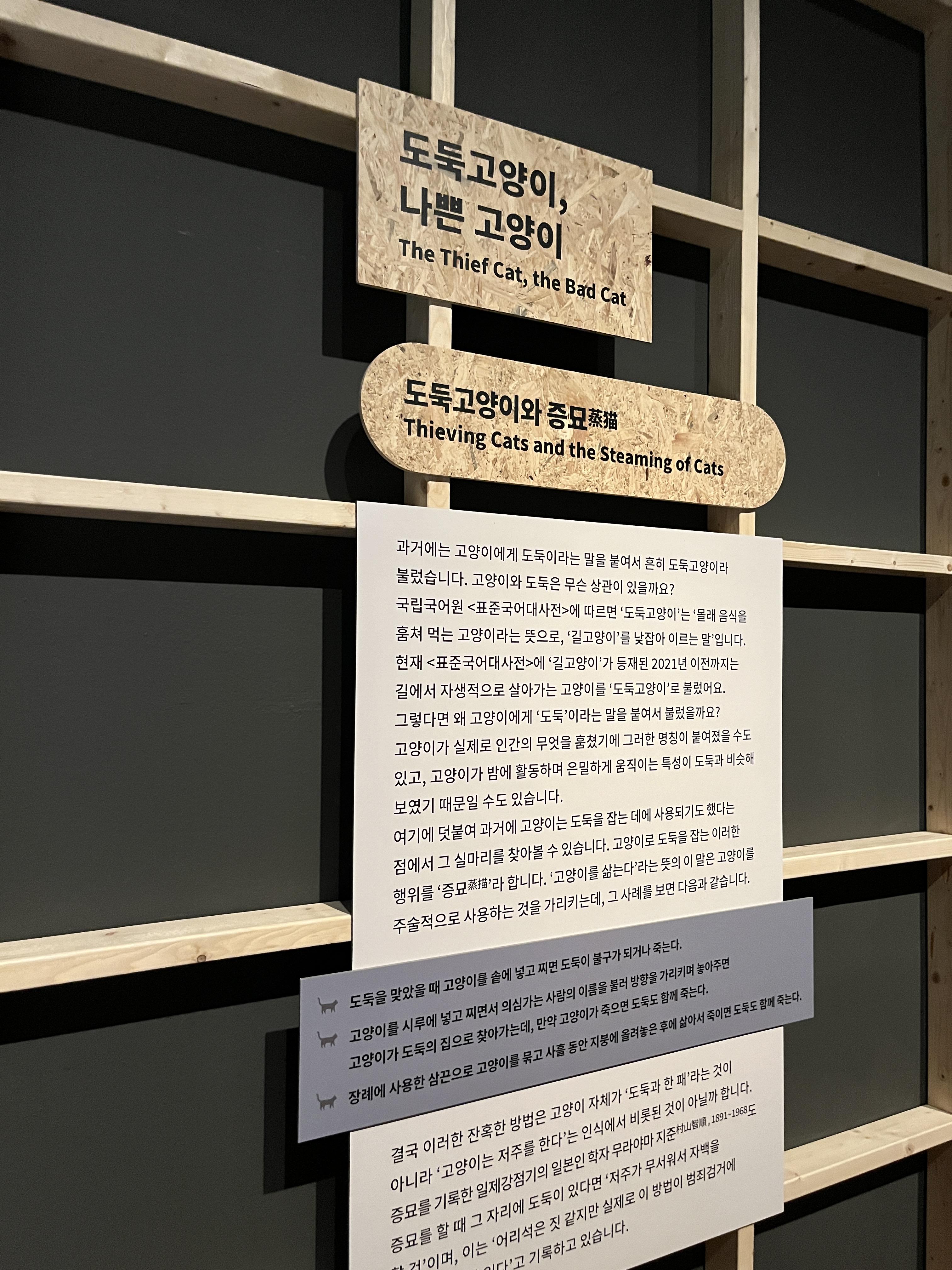 요물 우리를 홀린 고양이