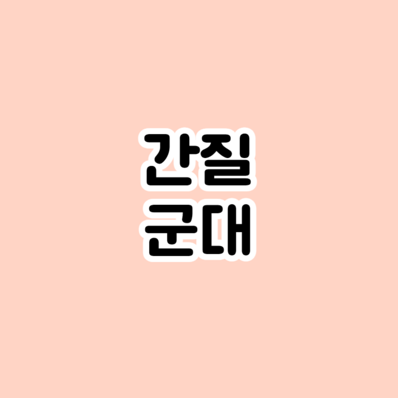 간질 군대