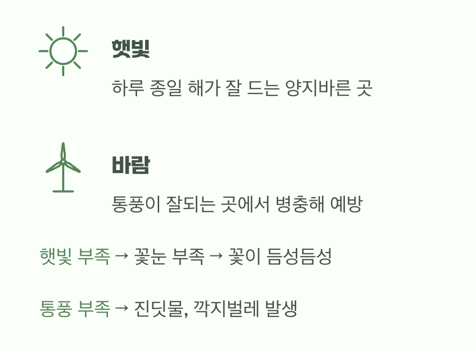 선비가 좋아하는 자리 (햇빛과 바람)