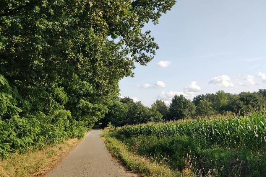 시골생활에 적응할수록 생활 방식이 단순해지는 이유