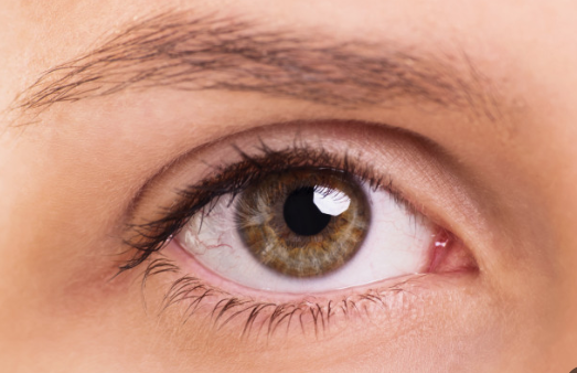 루테인 지아잔틴의 차이점과 효능 및 부작용 그리고 일일 권장 섭취량