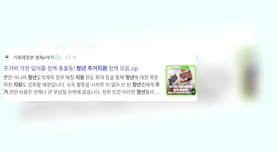 청년 주거 지원_2_subsection