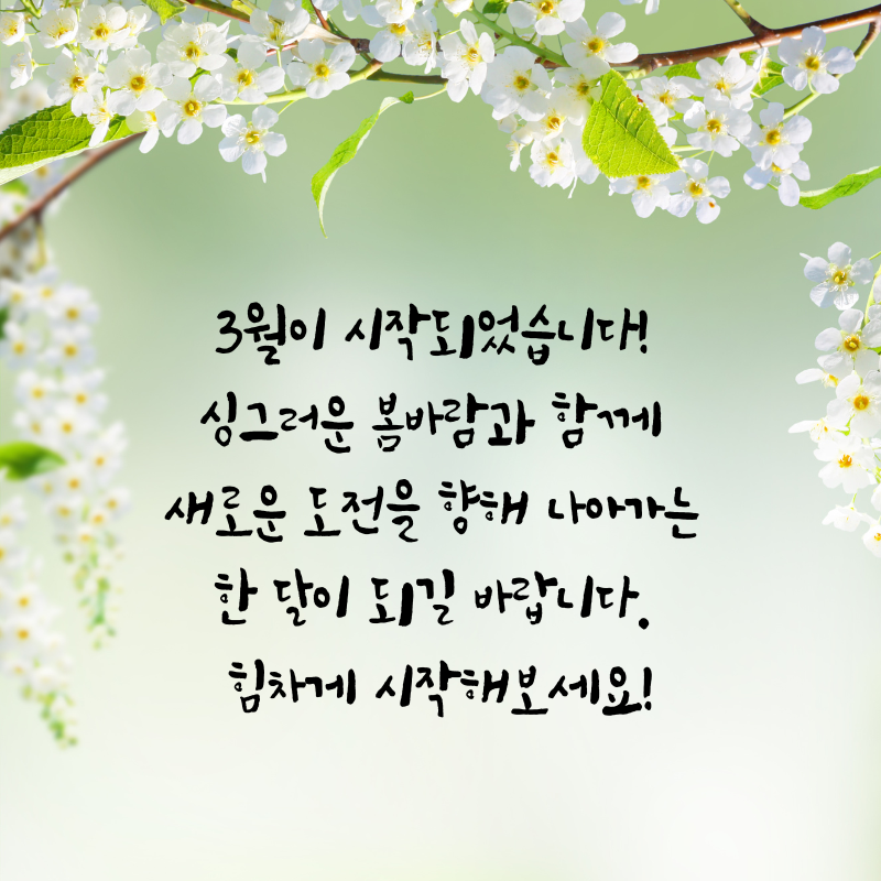 3월 인사말 문구 이미지 모음집
