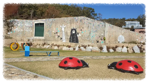 짚라인, 서바이벌, 클라이밍까지! 강화레포츠파크