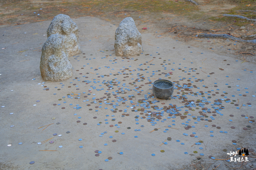 금각사 동전 던지기