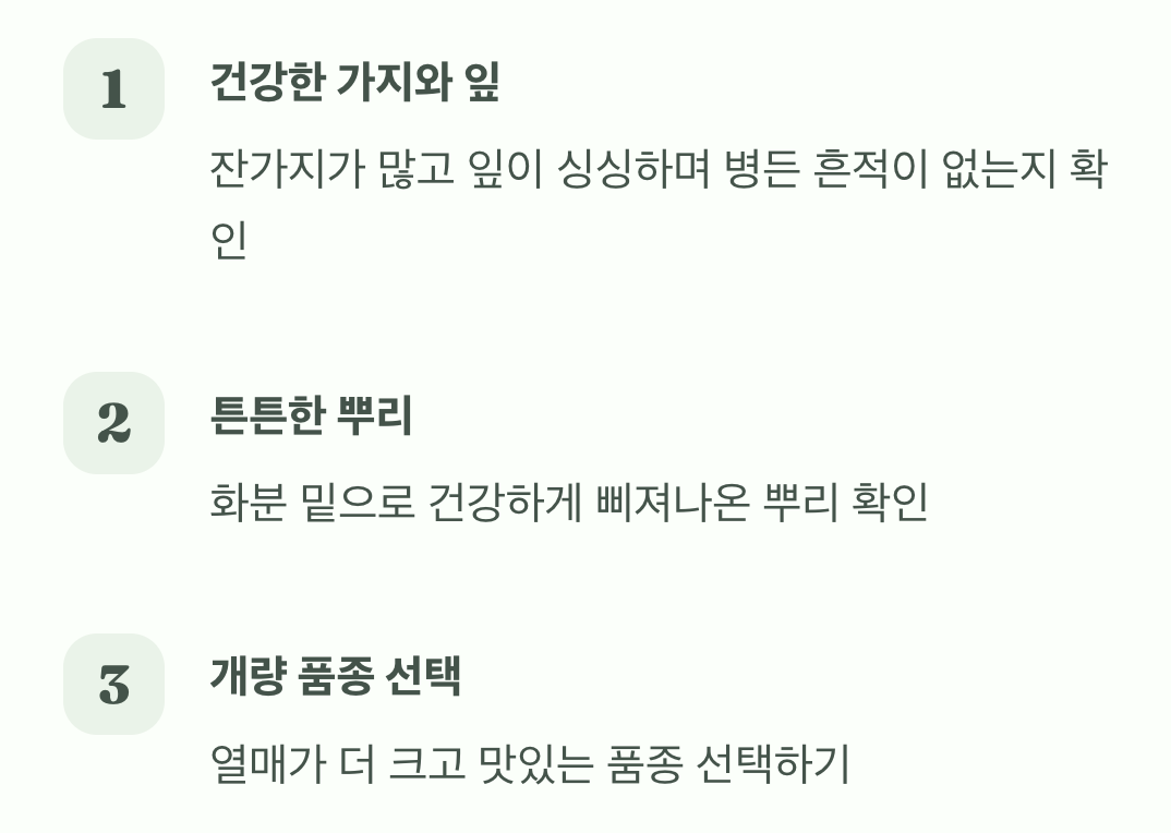 첫 단추가 중요해요, 튼튼한 모종 고르기
