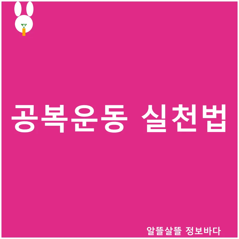 보라카이 아리엘 투어_3