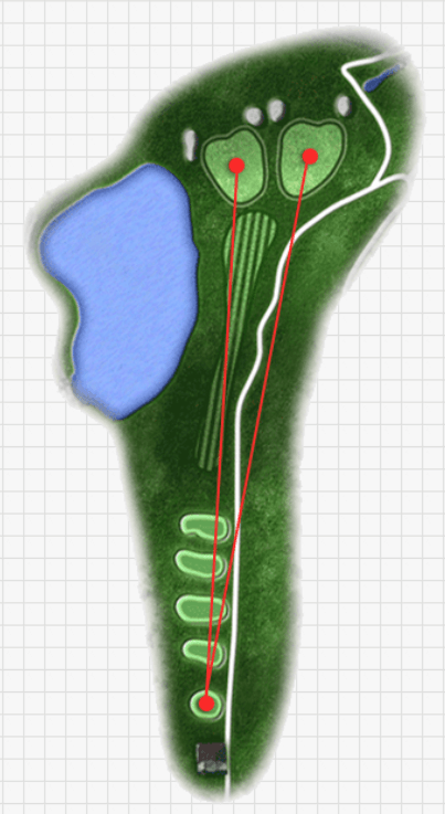 골드 그린 cc 5 Hole Tip