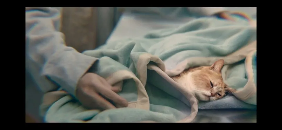 낮과 밤이 다른 그녀 1회 줄거리 다시보기