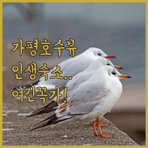 가평 쁘띠프랑스 리조트 포함 분위기 ..