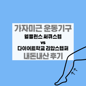웰밸런스 써큐스텝 vs 다이어트학교 리압스텝퍼