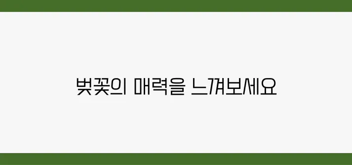 당일치기로 가능한 벚꽃 인생샷 여행지