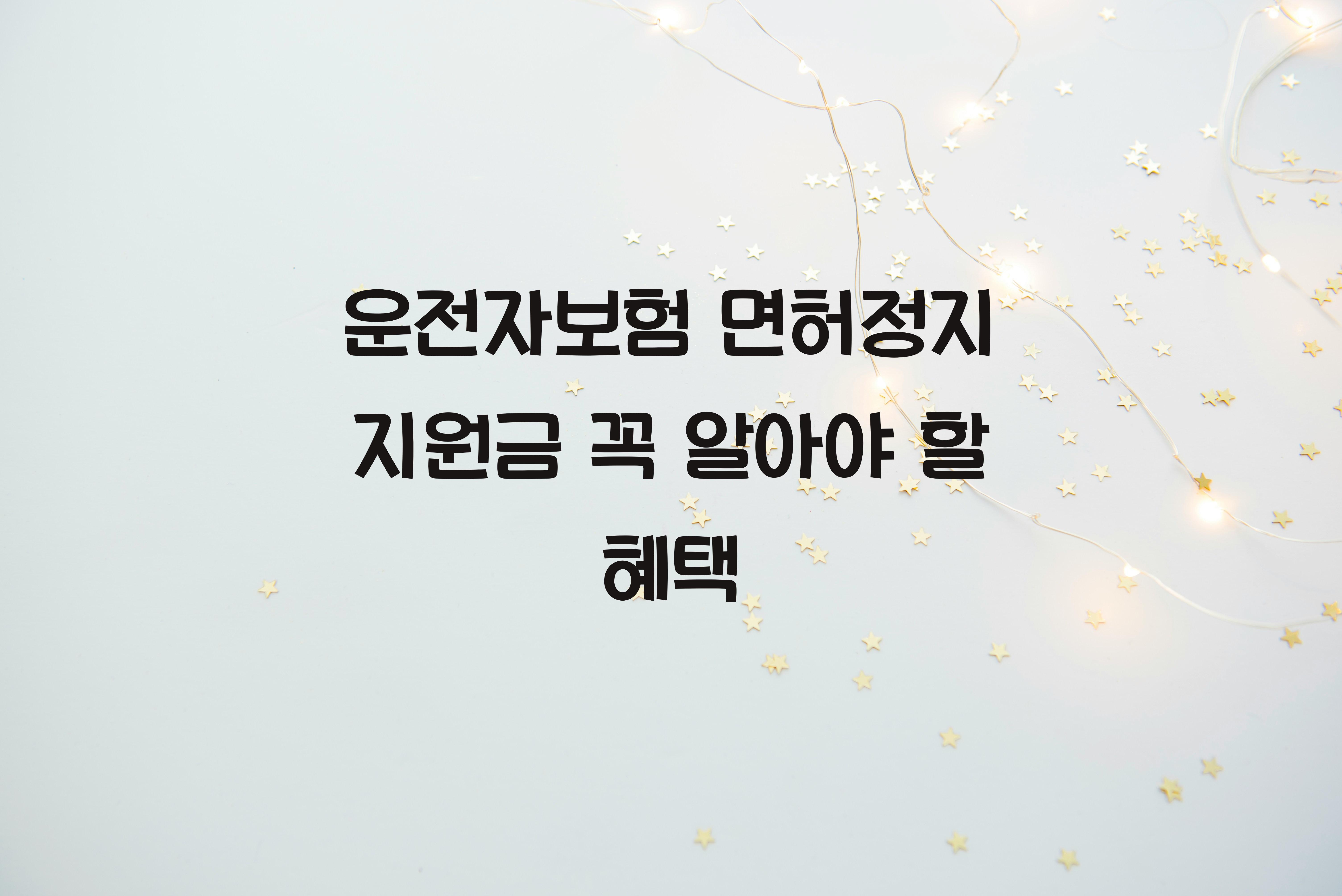 운전자보험 면허정지 지원금