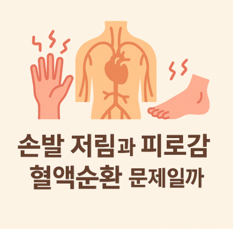 손발저림, 혈액순환