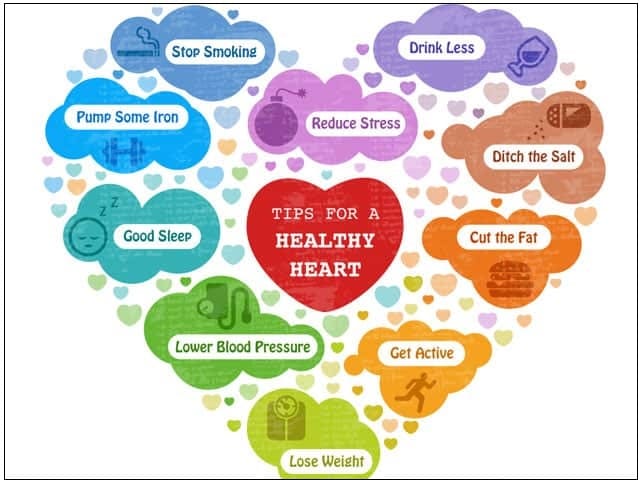 심장 건강 팁 VIDEO: Top 10 Foods to Clean Your Arteries that Can Prevent a Heart Attack