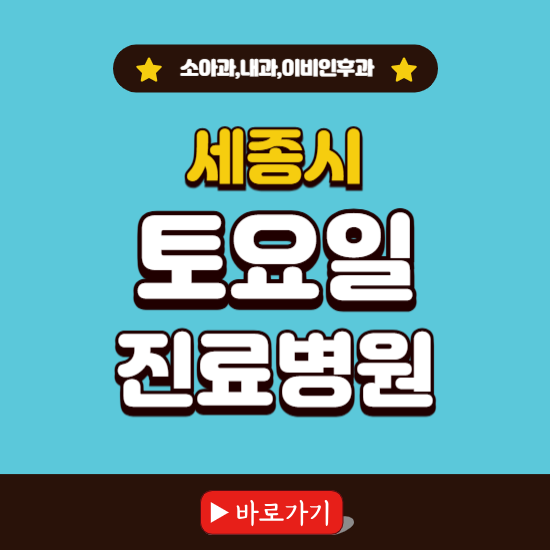 세종시 토요일 진료 병원 찾기 ❘ 주말 문여는 소아과, 내과, 이비인후과 리스트