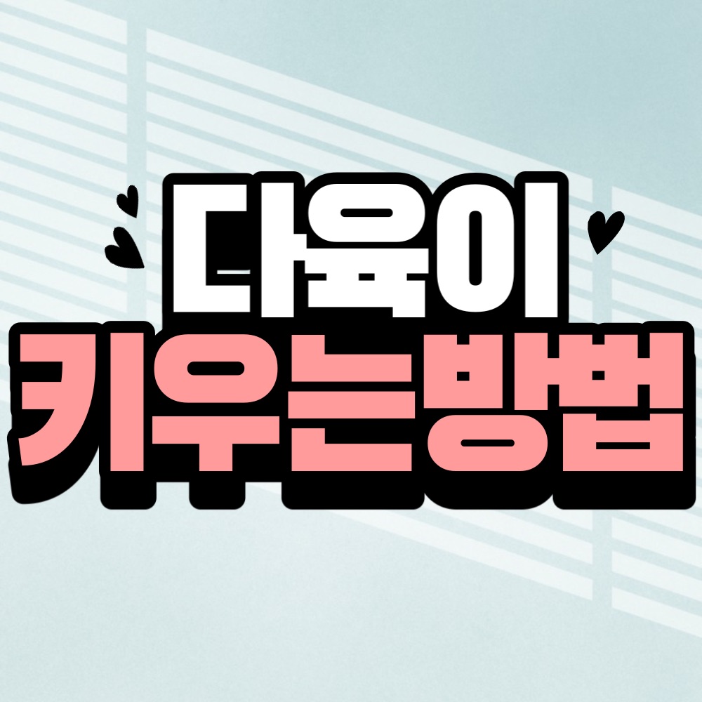 다육이 키우는 방법