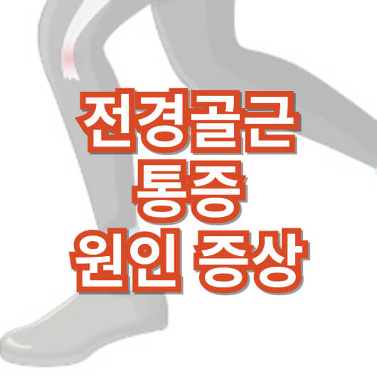 전경골근-통증-원인과-증상