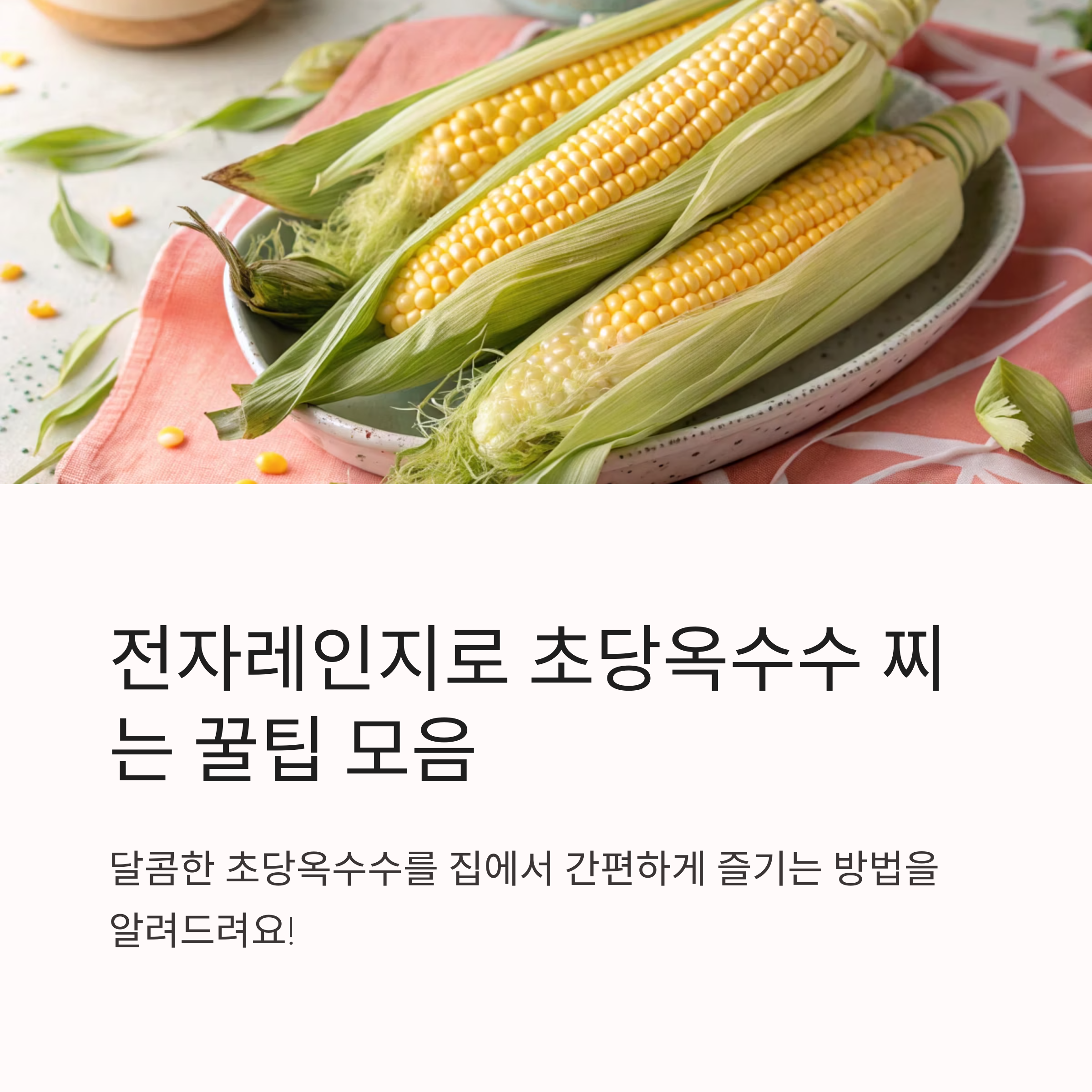 초당옥수수 찌는법 전자레인지로