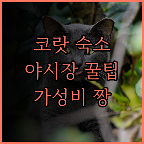 B2 코랏 나이트 마켓 부티크 앤 버