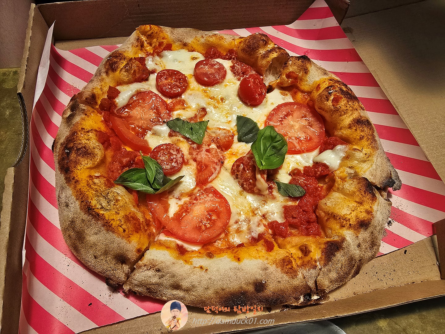 더 그라운즈 오브 알렉산드리아(The Grounds of Alexandria)