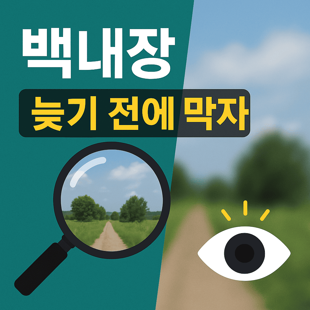 노인 백내장 최신 통계, 예방, 수술 정보