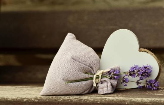 러브버그 출몰 시기