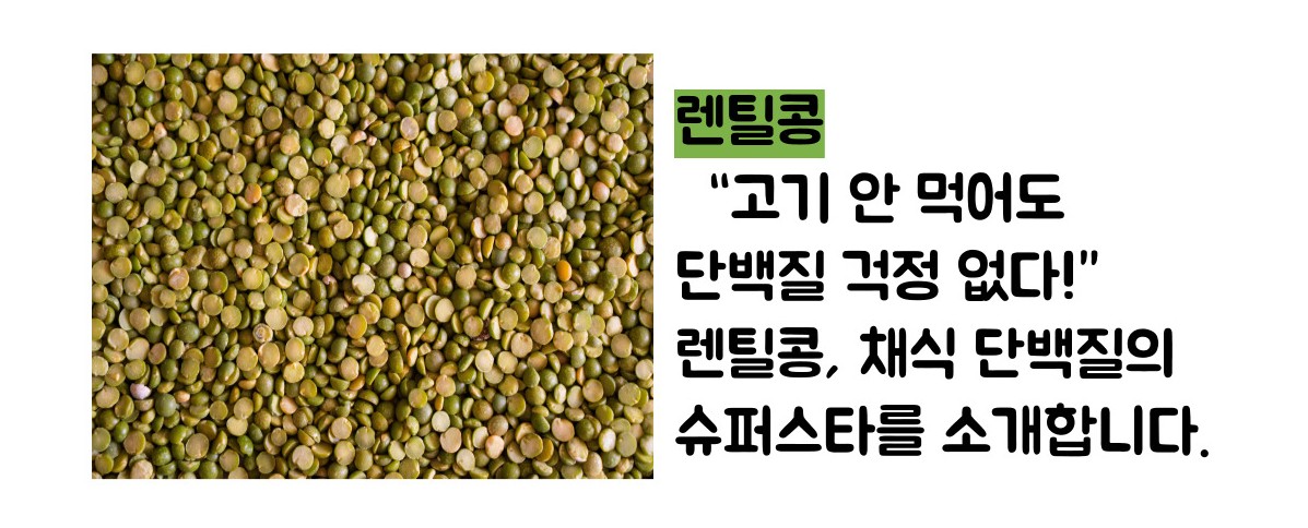 단백질 많은 음식