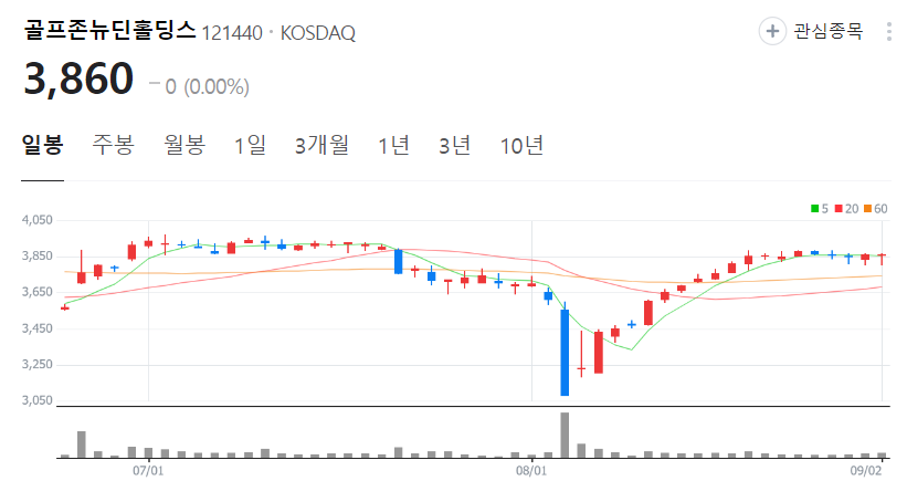 골프존뉴딘홀딩스-주가-일봉