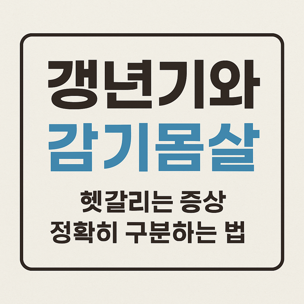 Alt 속성 문제 해결 설명 이미지