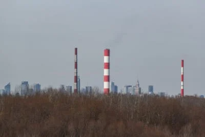 기초생활수급자