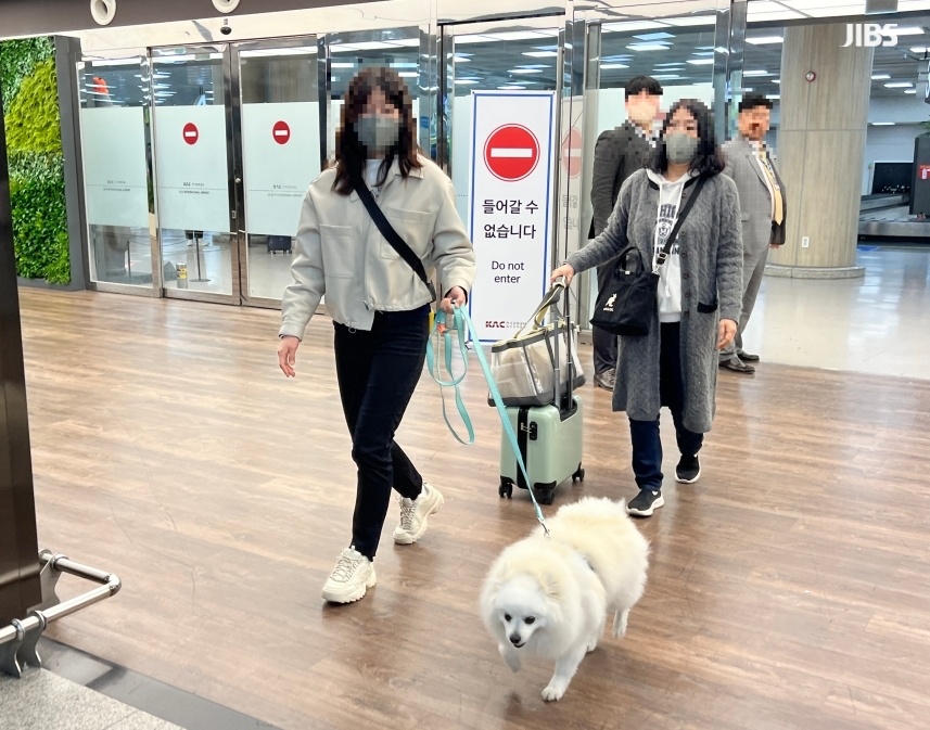 제주항공 펫패스 혜택