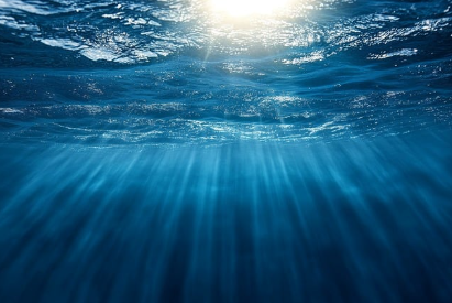 깊은 바다의 숨겨진 보물 알려지지 않은 해양 생물들의 세계