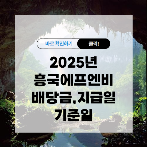 2025년 흥국에프엔비 배당금 지급일 및 기준일 알아보기