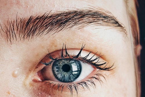 2. 건성피부 관리법&#44; 비타민 콜라겐