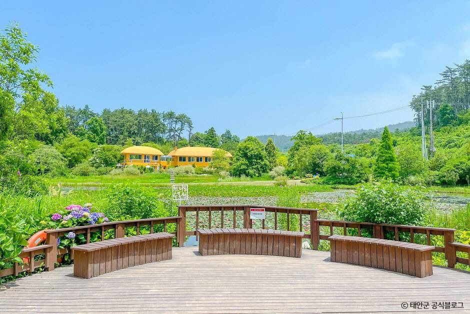 태안 가볼만한곳 베스트10