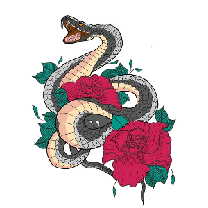 뱀띠 2025년 운세