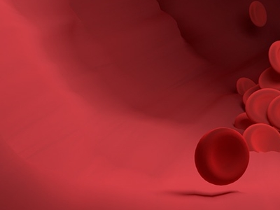 표고버섯 효능 사진7