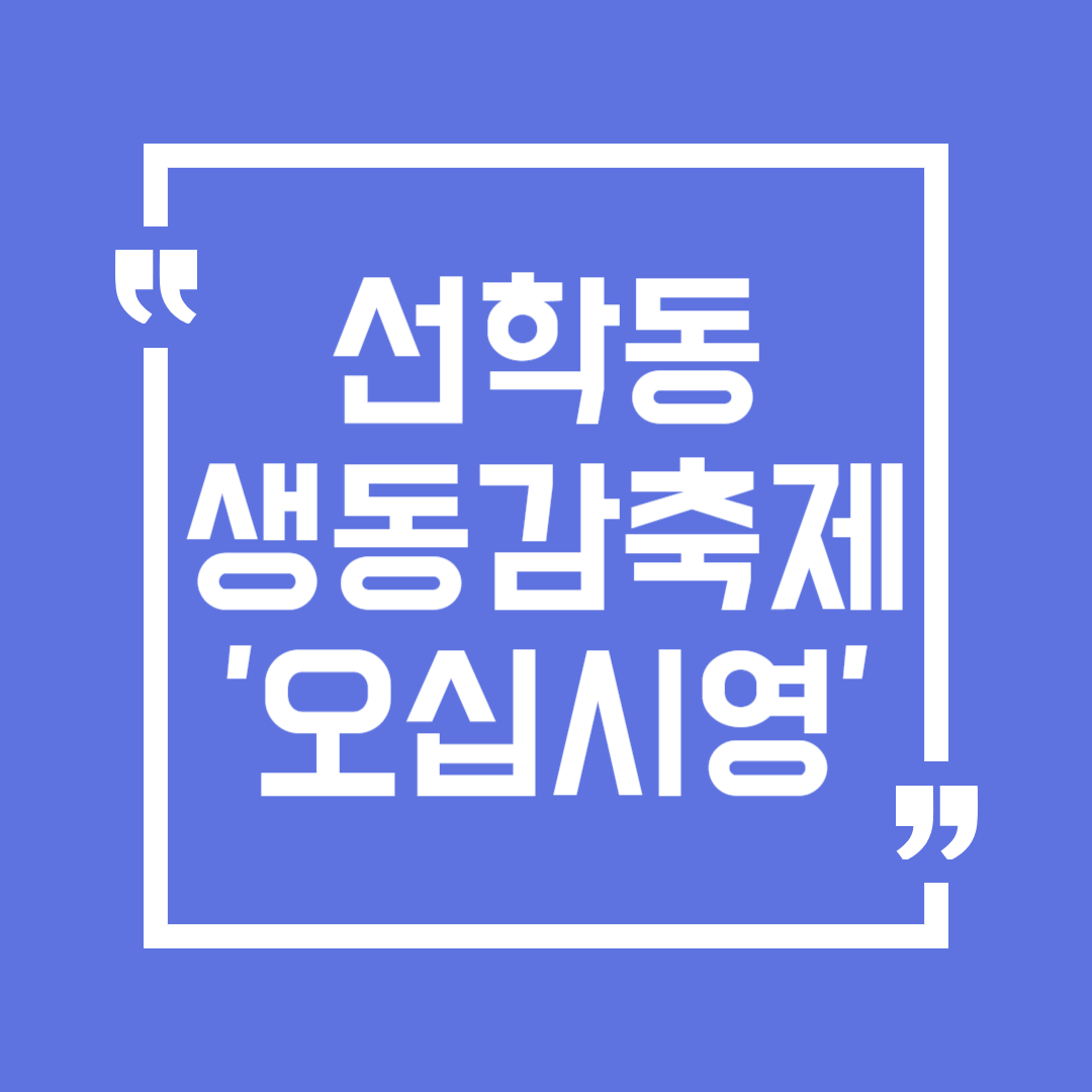 제8회 인천 선학동 음식특화거리 생동감축제 오십시영 축제