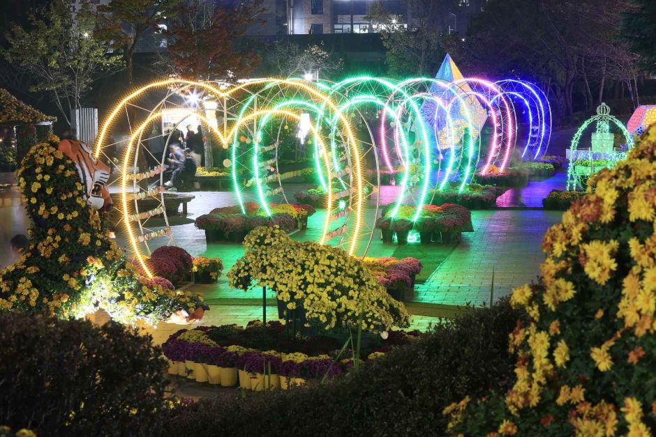 익산 천만송이 국화축제