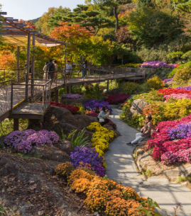 화담숲 예약 모노레일 예약 관람방법